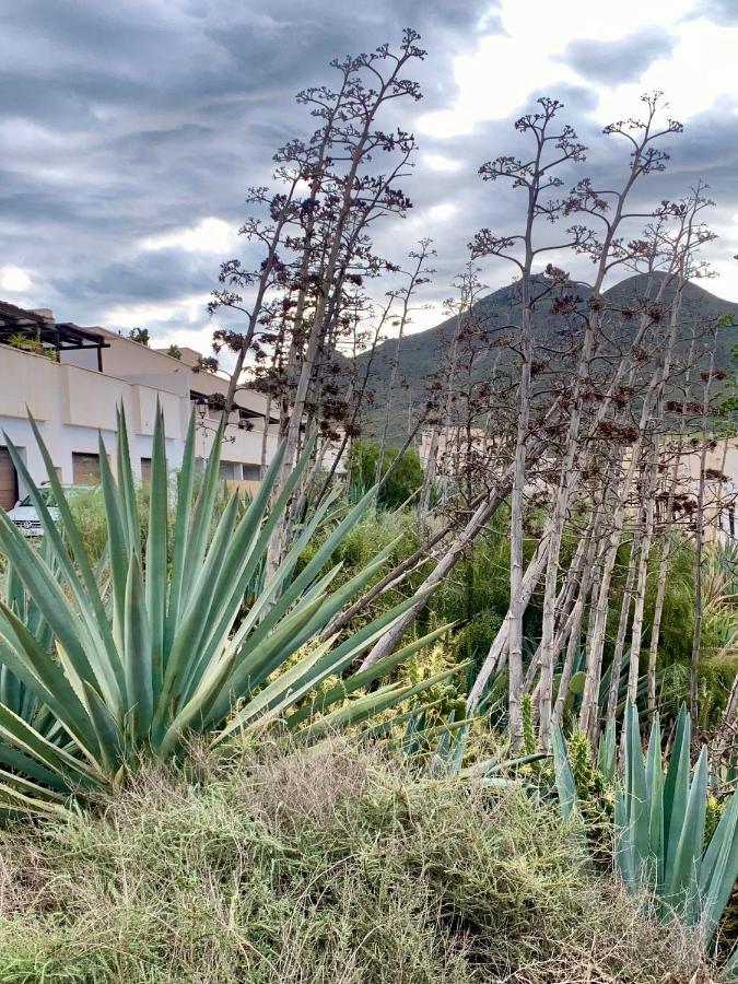 Апартаменти La Pita Del Pozo Ель-Позо-де-лос-Фрайлес Екстер'єр фото